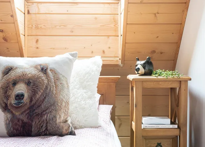 Jochymowka * 扎科帕内