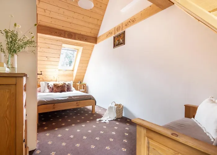 Jochymowka 公寓 扎科帕内